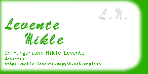 levente mikle business card